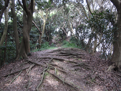 20150924hike (69)